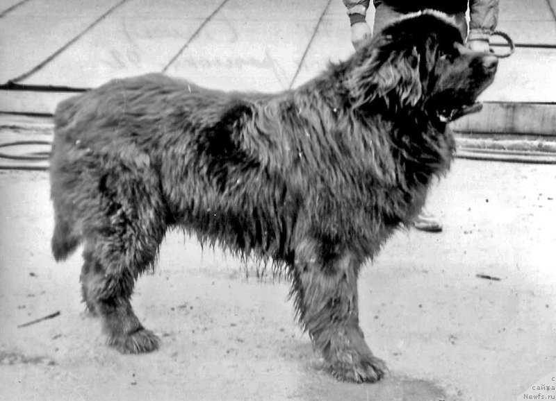 Фотография № 207693