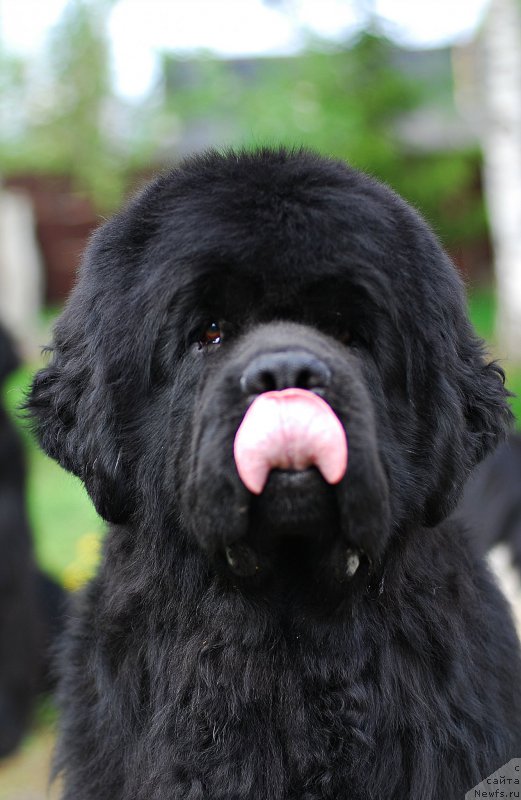 Фотография № 207704