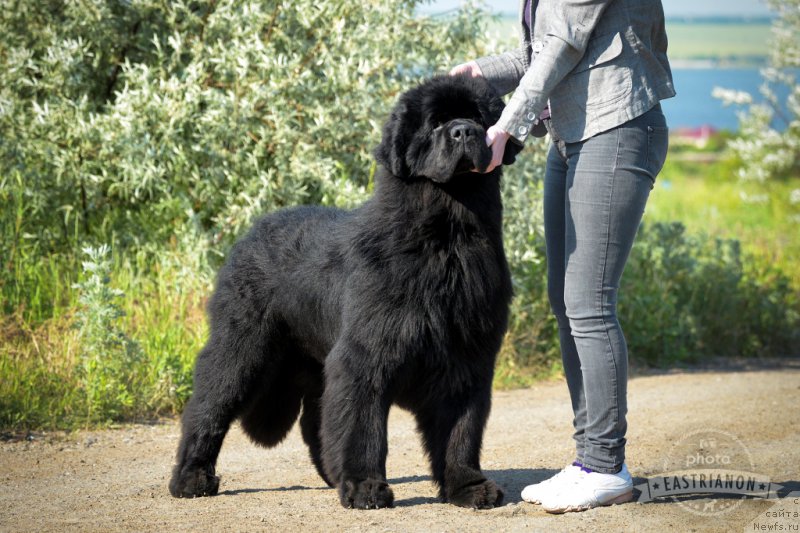 Фотография № 207716