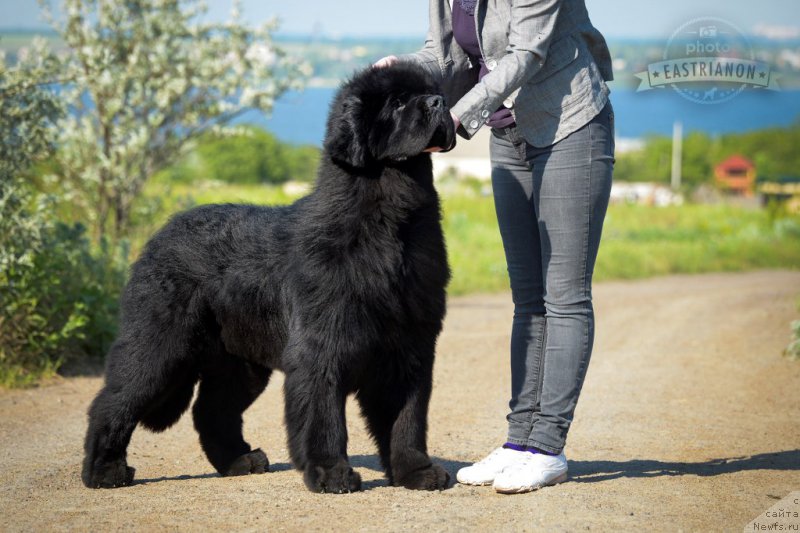 Фотография № 207717