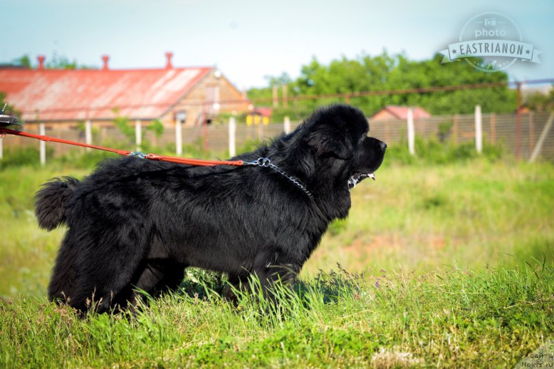 Фотография № 207719