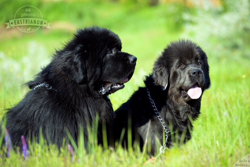 Фото: [d11783] с дочкой Кьюти.