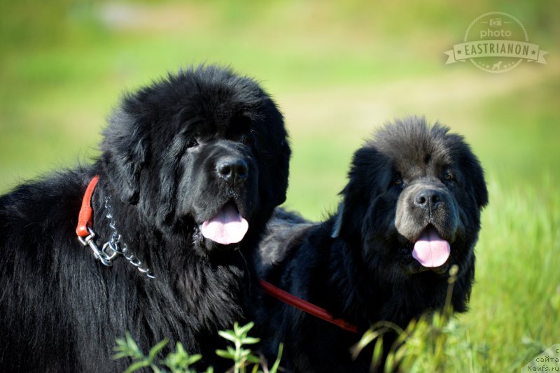 Фото: [d11783] с дочкой Кьюти.