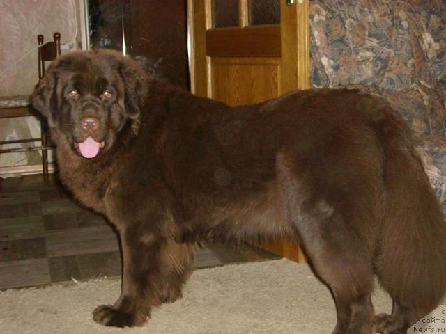 Фотография № 20773