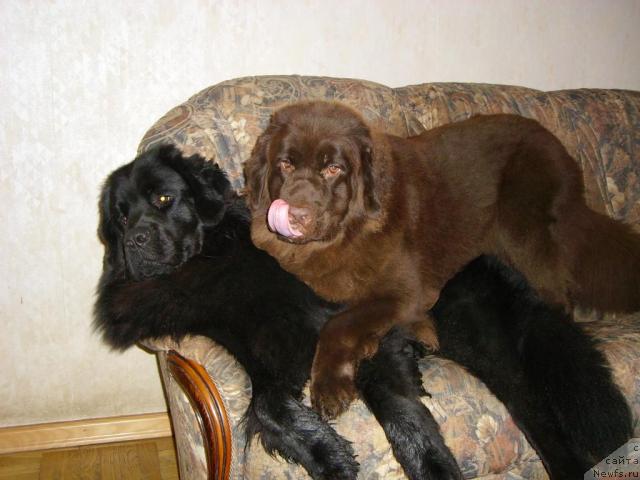 Фотография № 20774