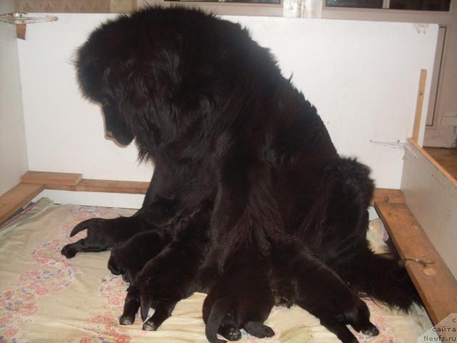 Фотография № 20775