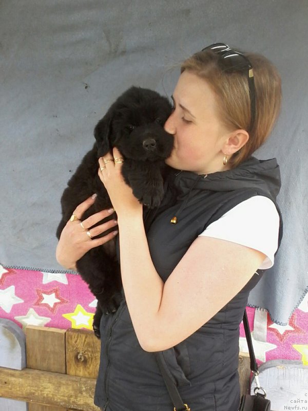 Фотография № 207760