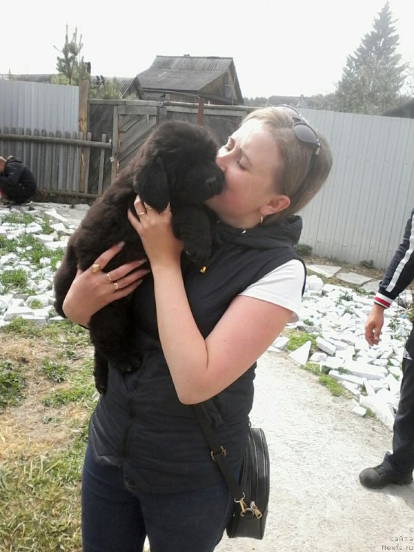 Фотография № 207761