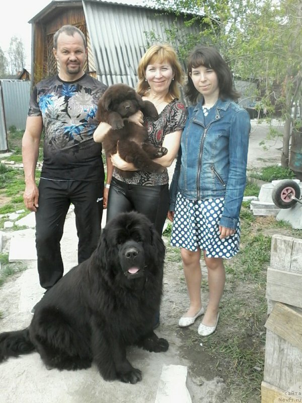 Фотография № 207762