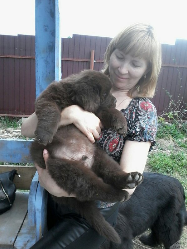 Фотография № 207763