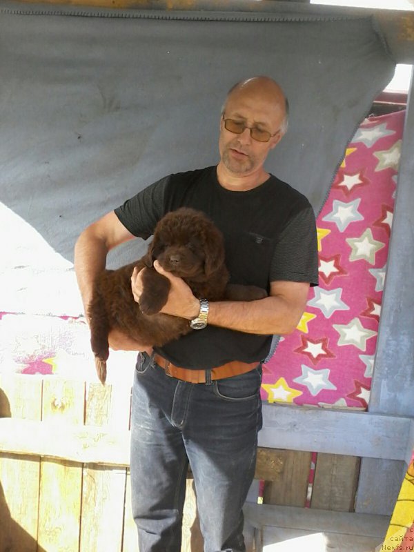 Фотография № 207764