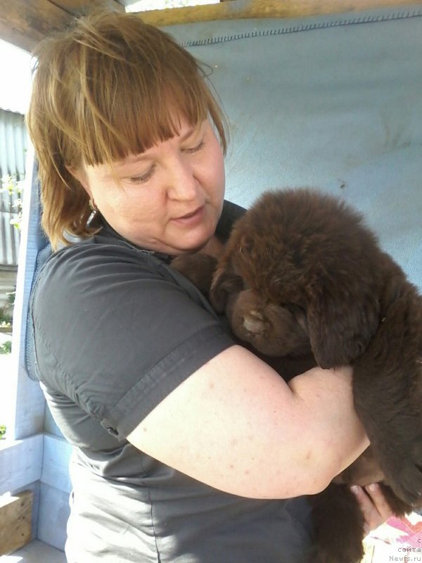 Фотография № 207765