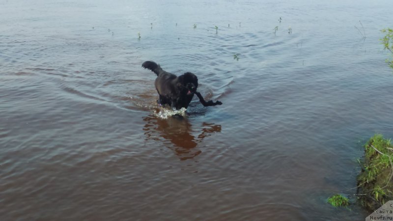 Фотография № 207766