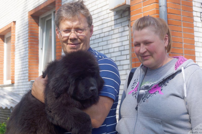 Фотография № 207769