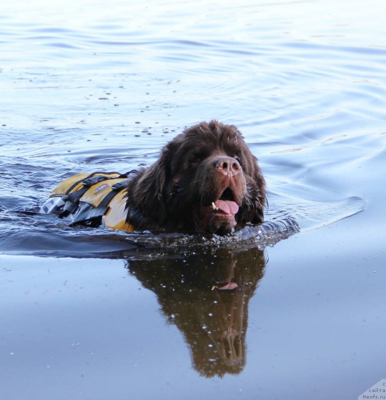 Фотография № 207781