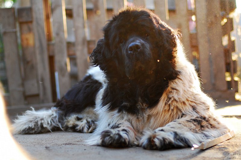 Фотография № 207784