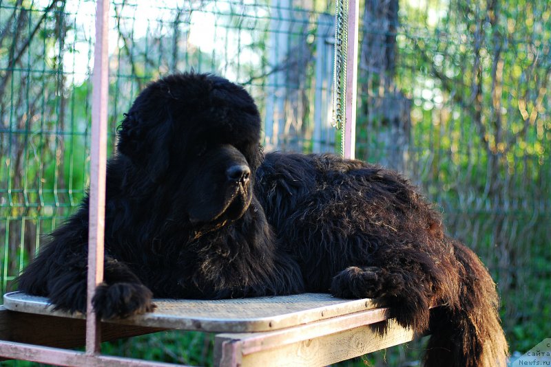 Фотография № 207786