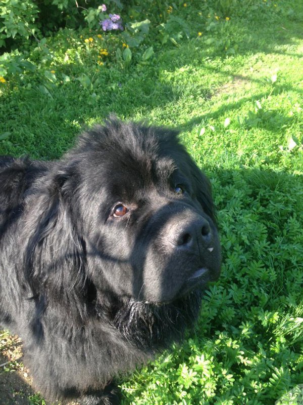 Фотография № 207791