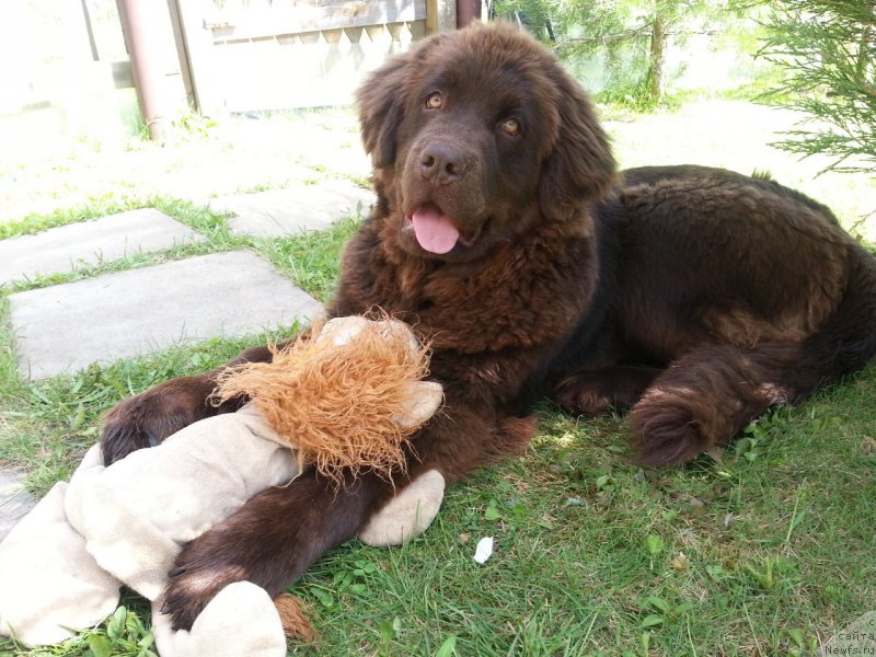 Фотография № 207809