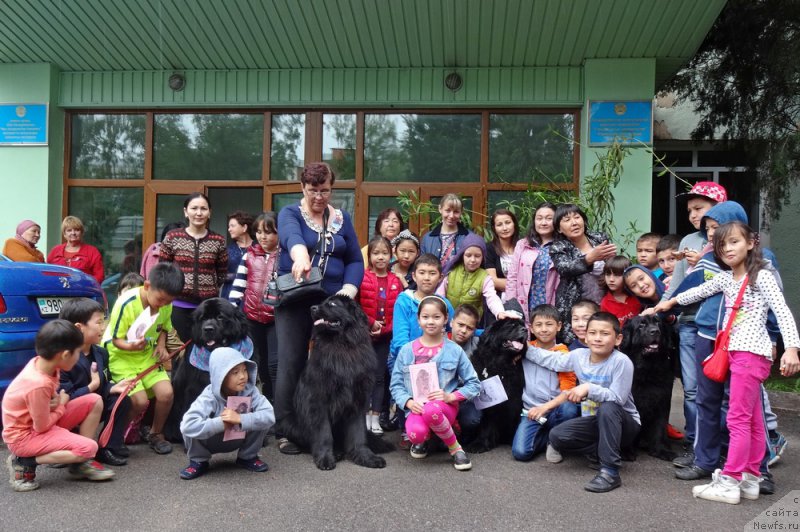Фото: ньюфаундленд Jenev'ev Garni Ledyen (Женевьев Гарни Ледэн), ньюфаундленд Sent Djons Ulla for Kara Ayular (Сент Джонс Улла для Кара Аюлар), ньюфаундленд N'yufort Divnaya Diana (Ньюфорт Дивная Диана), ньюфаундленд Keeper Soul Esaul (Кипер Соул Есаул)