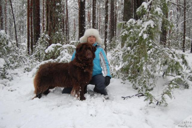 Фотография № 20783