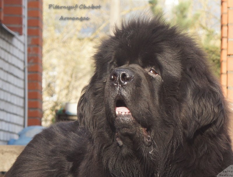 Фотография № 207837