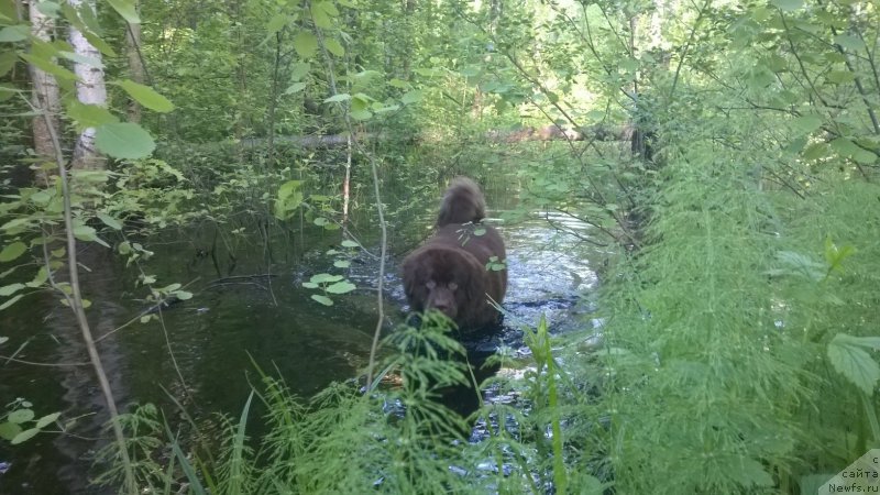 Фотография № 207869