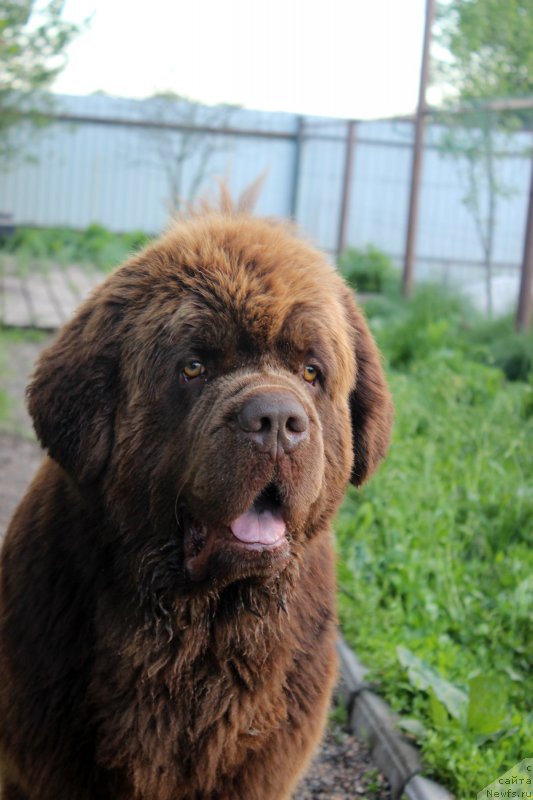 Фотография № 207870