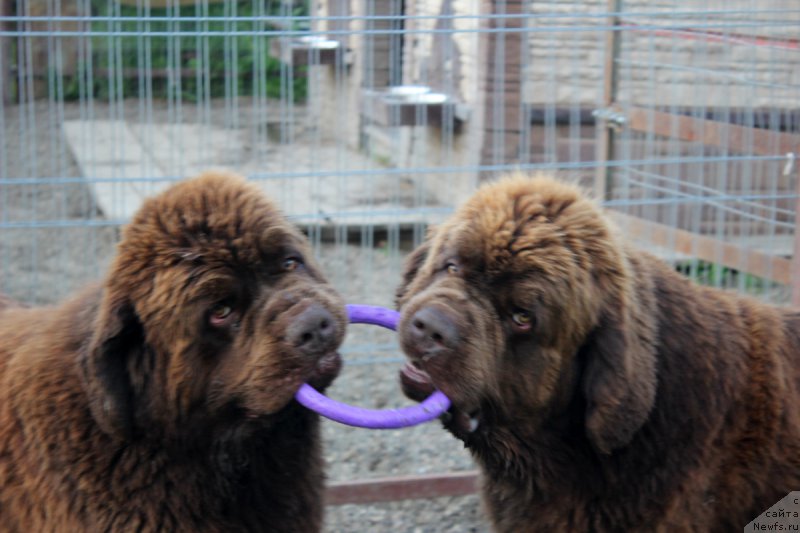 Фотография № 207871