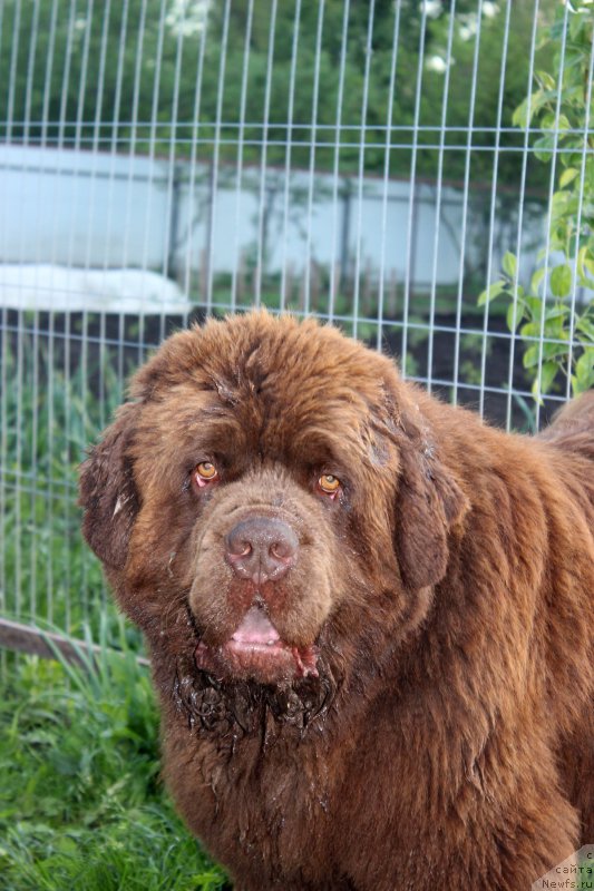 Фотография № 207873