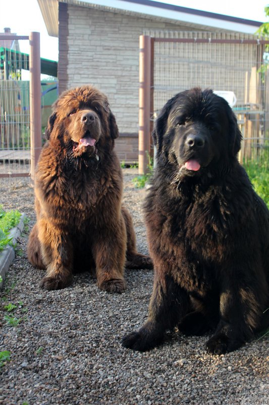 Фотография № 207874