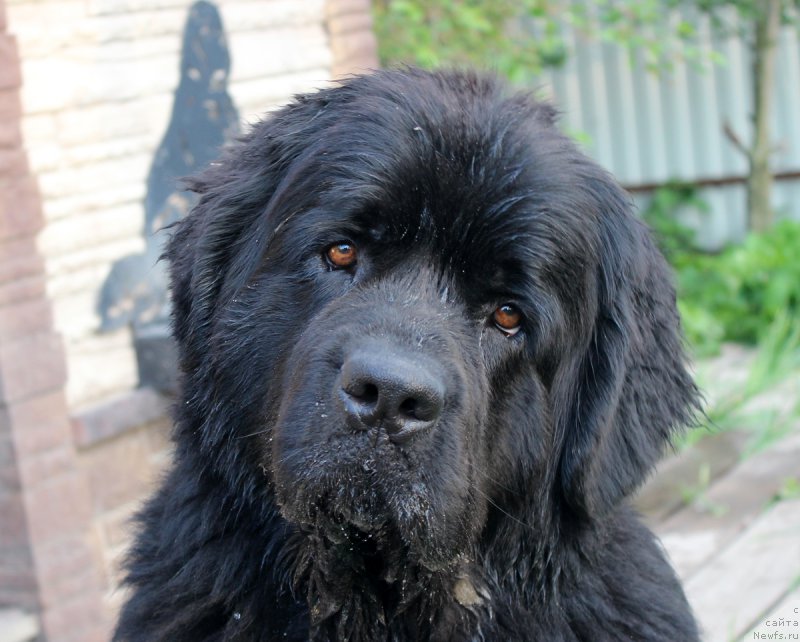 Фотография № 207878