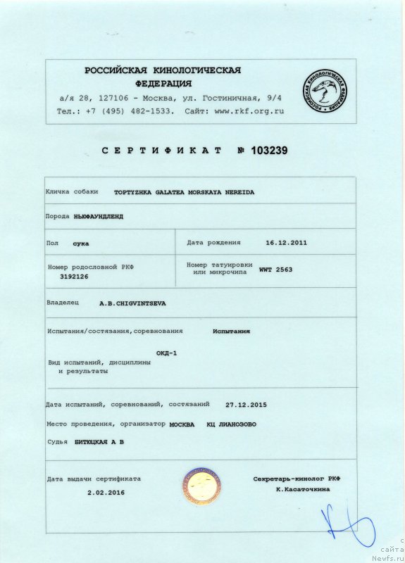 Фотография № 207895