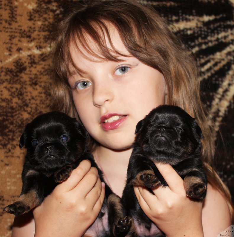 Фотография № 207912