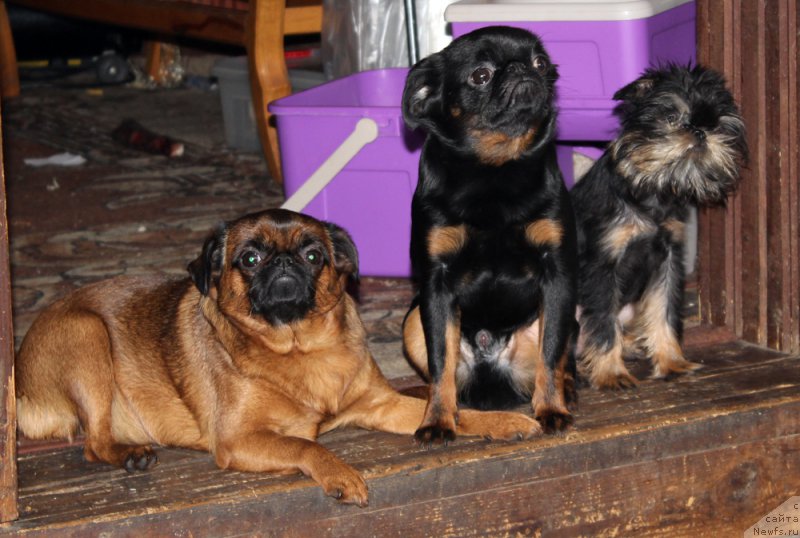 Фотография № 207914