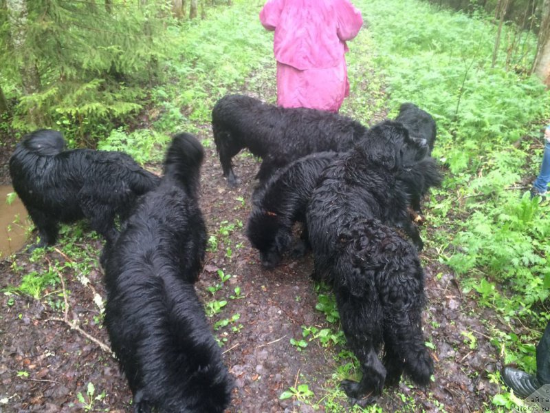 Фото: Anna Kovalyova (Анна Ковалёва)