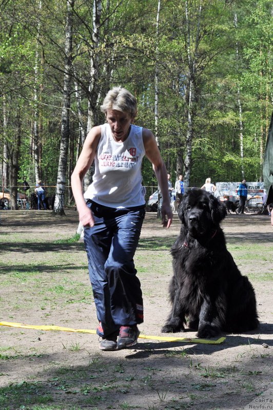 Фотография № 208038