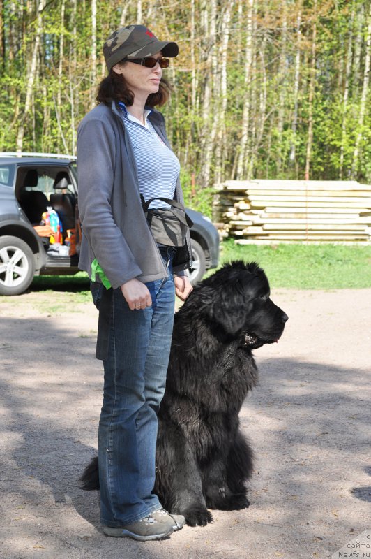 Фотография № 208039