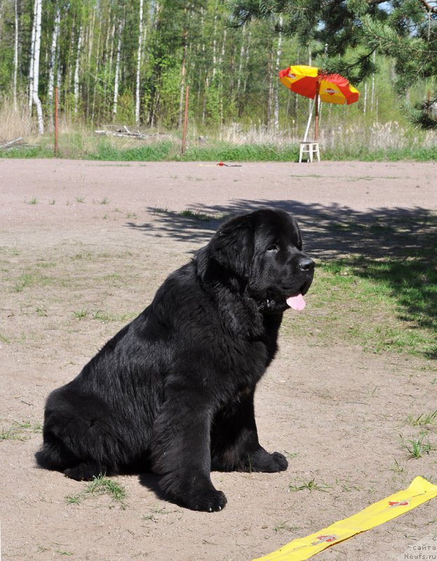 Фотография № 208040