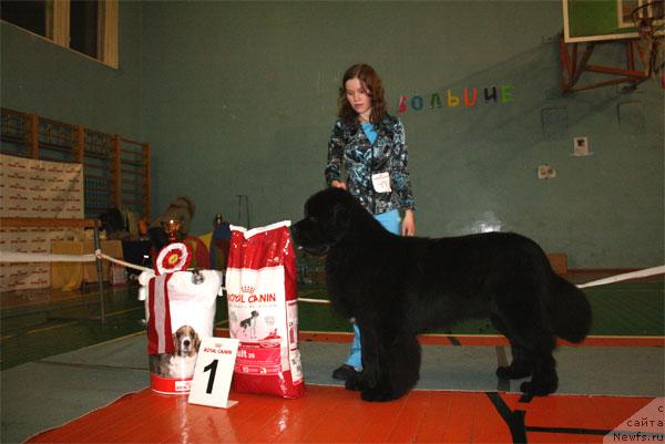 Фотография № 20807