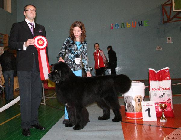 Фотография № 20808