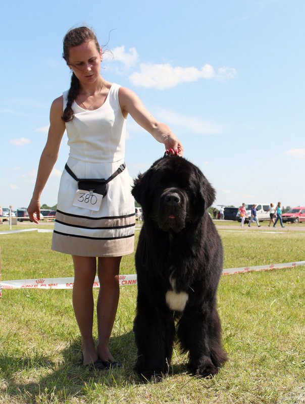 Фотография № 208091