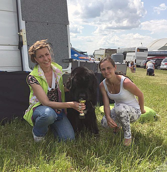 Фото: YUliana Nikiforova (Юлиана Никифорова), ньюфаундленд Beguschaya po Volnam Сhart Topper (Бегущая по Волнам Чарт Топпер)
