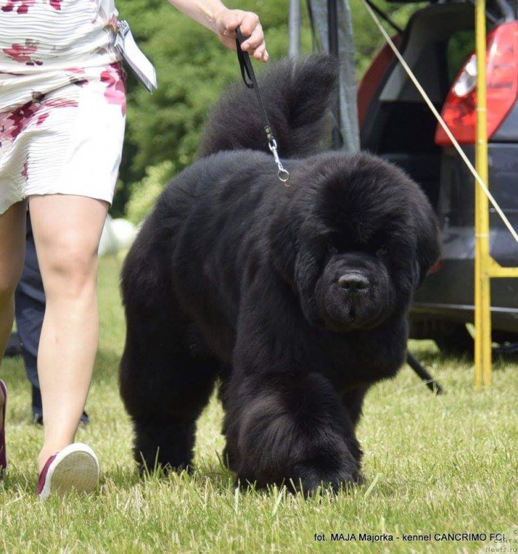 Фотография № 208101