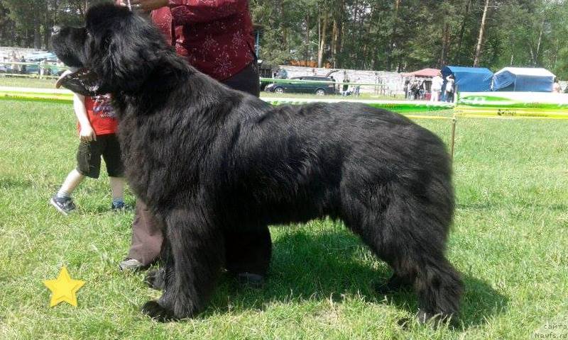 Фотография № 208102