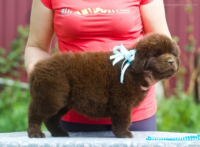 Фотография № 208111