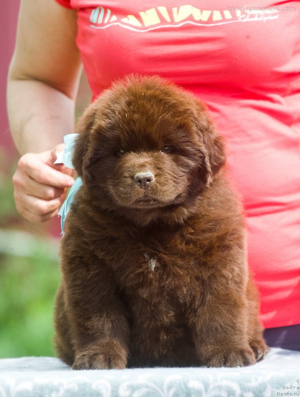 Фотография № 208112