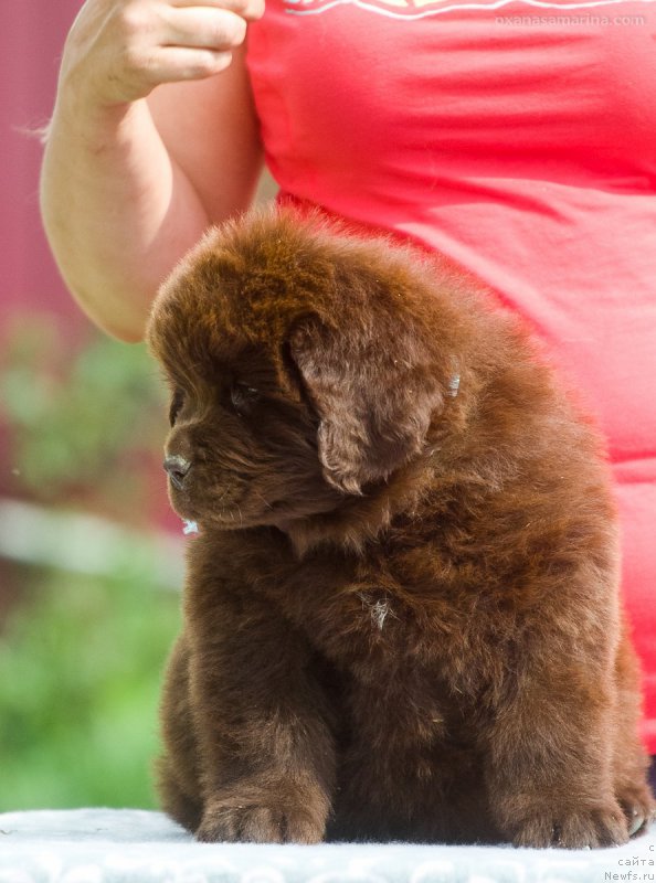 Фотография № 208113