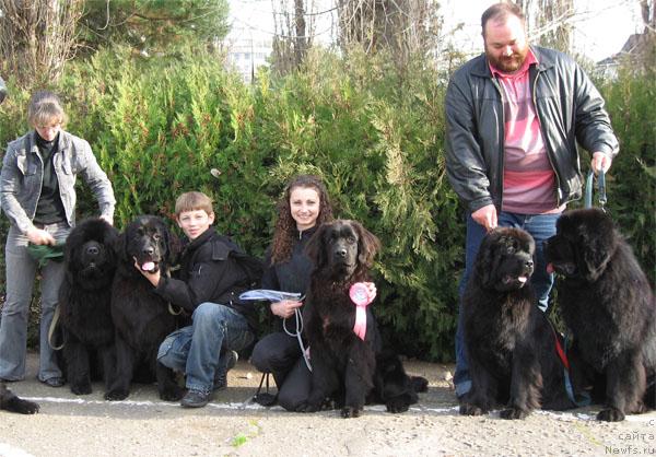 Фото: ньюфаундленд Knyaz Dodon s Berega Dona (Князь Додон с Берега Дона), ньюфаундленд Aquatoriya Kelvin Zavetnaya Mechta (Акватория Келвин Заветная Мечта), ньюфаундленд Rovena Vesenniy Cvetok (Ровена Весенний Цветок), ньюфаундленд Kingova Doch s Berega Dona (Кингова Дочь с Берега Дона), ньюфаундленд Vinces iz Medvejyego Yara Dlja Berega Dona (Винчес из Медвежьего Яра для Берега Дона)