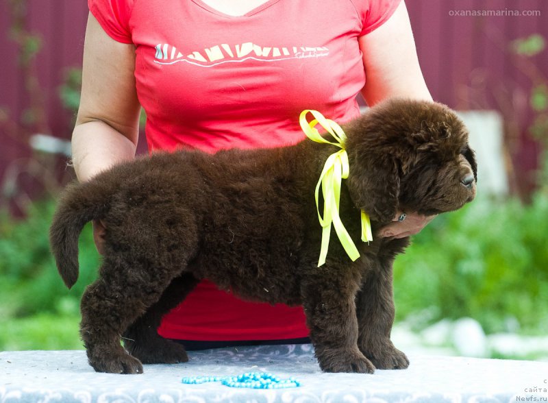 Фотография № 208134